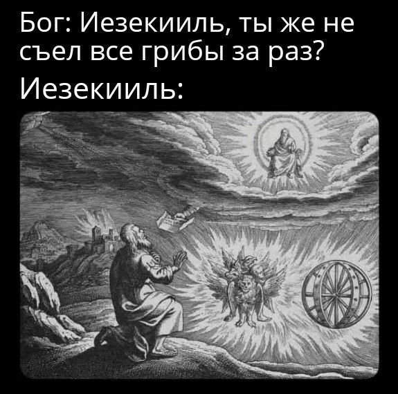 Бог: Иезекииль, ты же не съел все грибы за раз? Иезекииль: