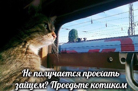 i 4 я получается проехать котиком зайцем? Проедьте