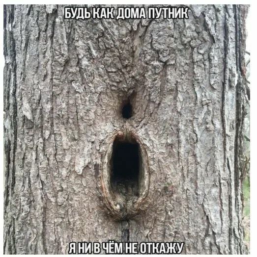 ДОМАПУТНИК и 8 a as be: В sat 4 A ЧЕХ 2 or: HE ОТКАЖУ