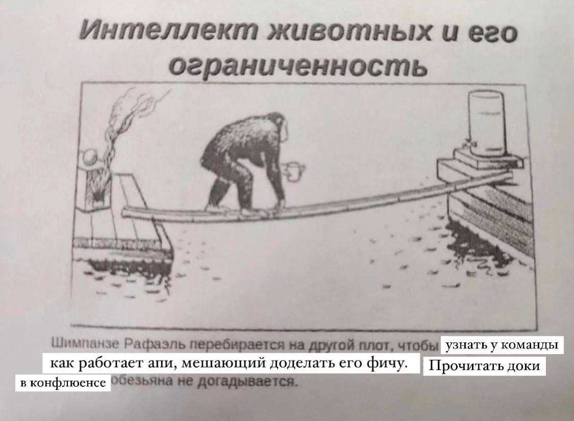 Интеллект животных иего ограниченность А Шимпанзе перебирается на другой плот, чтобы узнать у команды как работает апи, мешающий доделать его фичу. Прочитать доки в конфлюенсе не