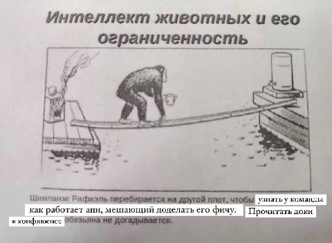 Интеллект животных иего ограниченность А Шимпанзе перебирается на другой плот, чтобы узнать у команды как работает апи, мешающий доделать его фичу. Прочитать доки в конфлюенсе не