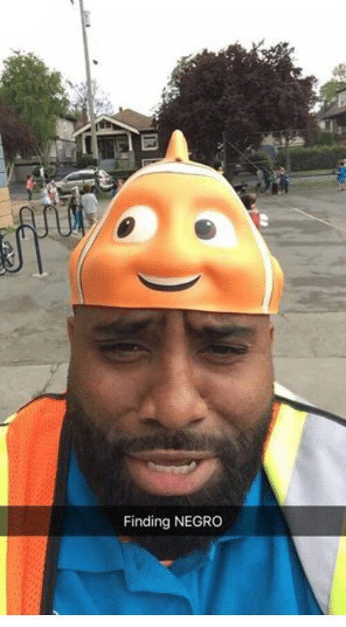 1 Finding NEGRO