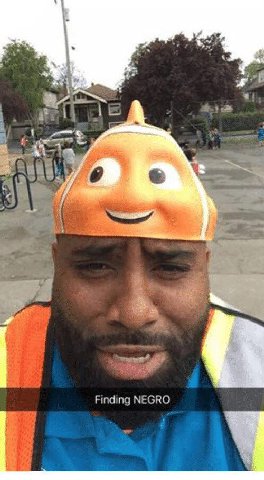 1 Finding NEGRO