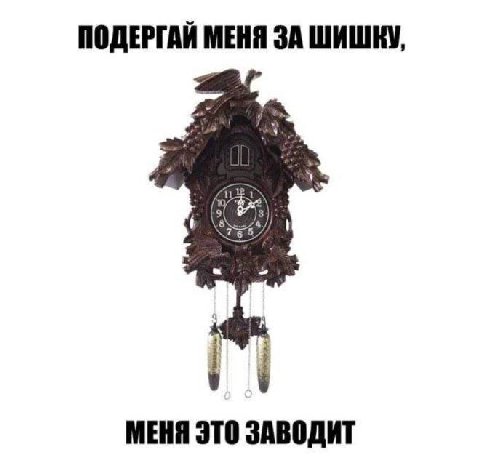 ПОДЕРГАЙ МЕНЯ ЗА ШИШКУ, 11 {9 4 МЕНЯ ЭТО ЗАВОДИТ