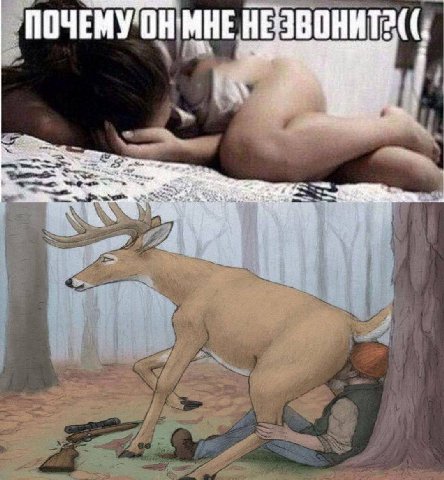 МУО HE