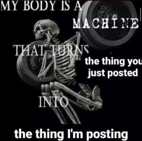 MY BODY МАСНТ THAT TURM the thing you just posted INTO the thing posting