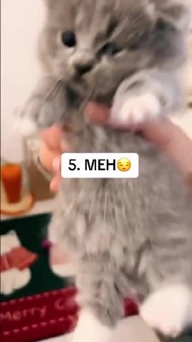 мем