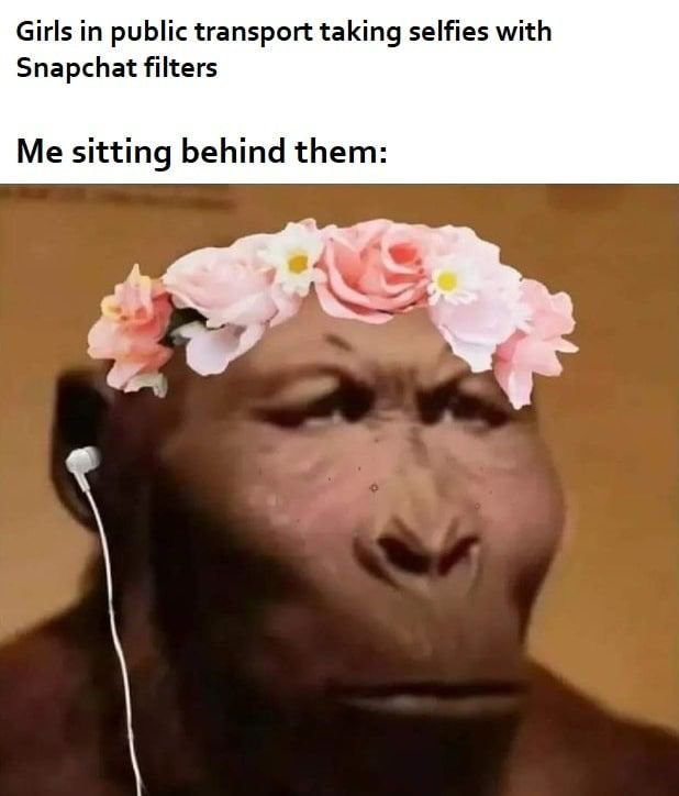Girls in public transport taking selfies with Snapchat filters Me sitting behind them: