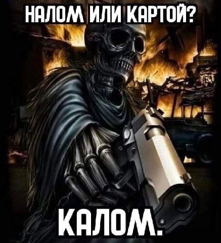 НАЛОМ ИЛИ КАРТОЙ? КАЛОМ.