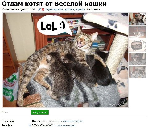 Отдам котят от Веселой кошки Размещено сегодня в 10:34 Редактировать, удалить, поднять объявление Lol. We nit Цена Продавец Ольга (частное лицо) написать письмо Телефон О 8 XXX XXX-XX-XX показать номе