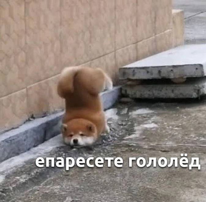 епаресете гололёд