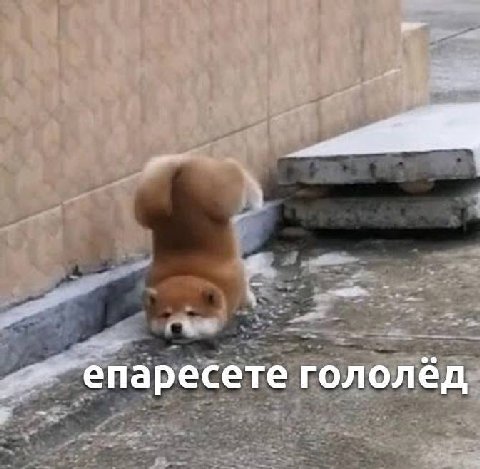 епаресете гололёд