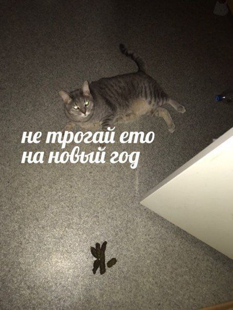 не трогаи ето на год