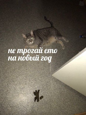 не трогаи ето на год