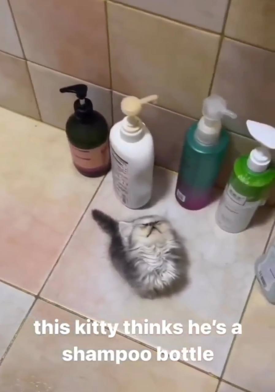 this he's а shampoo bottle