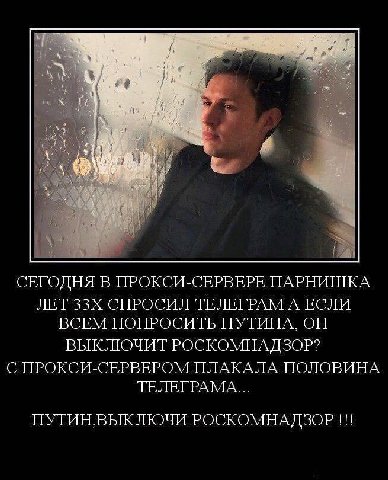 СЕГОДНЯ В ПРОКСИ-СЕРВЕРЕ ПАРНИШКА ЛЕТ СПРОСИЛ ТЕЛЕГРАМ А ЕСЛИ ВСЕМ ПОПРОСИТЬ ПУТИНА, ОН ВЫКЛЮЧИТ РОСКОМНАДЗОР? С ПРОКСИ-СЕРВЕРОМ ПЛАКАЛА ПОЛОВИНА TEJIETPAMA... ПУТИНВЫКЛЮЧИ РОСКОМНАДЗОР