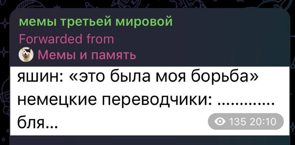 мемы третьей мировой яшин: «это была моя борьба» немецкие переводчики: бля...