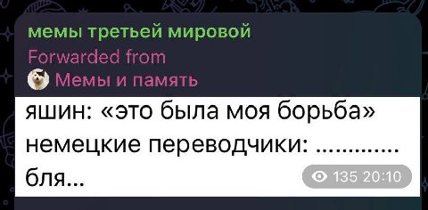 мемы третьей мировой яшин: «это была моя борьба» немецкие переводчики: бля...