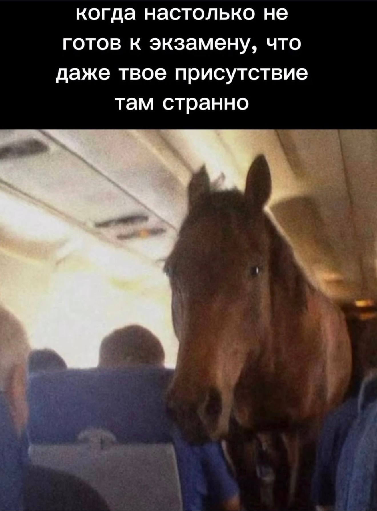 когда настолько не готов к экзамену, что даже твое присутствие там странно