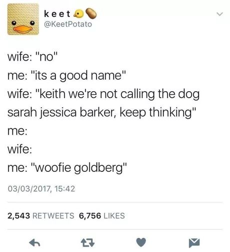 @KeetPotato wife: "no" me: "its a good name" wife: "keith we're not calling the dog sarah jessica barker, keep thinking" me: wife: me: "woofie goldberg" 03/03/2017, 15:42 2,543 RETWEETS 6,756 LIKES 7