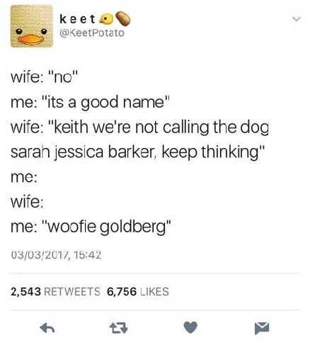 @KeetPotato wife: "no" me: "its a good name" wife: "keith we're not calling the dog sarah jessica barker, keep thinking" me: wife: me: "woofie goldberg" 03/03/2017, 15:42 2,543 RETWEETS 6,756 LIKES 7