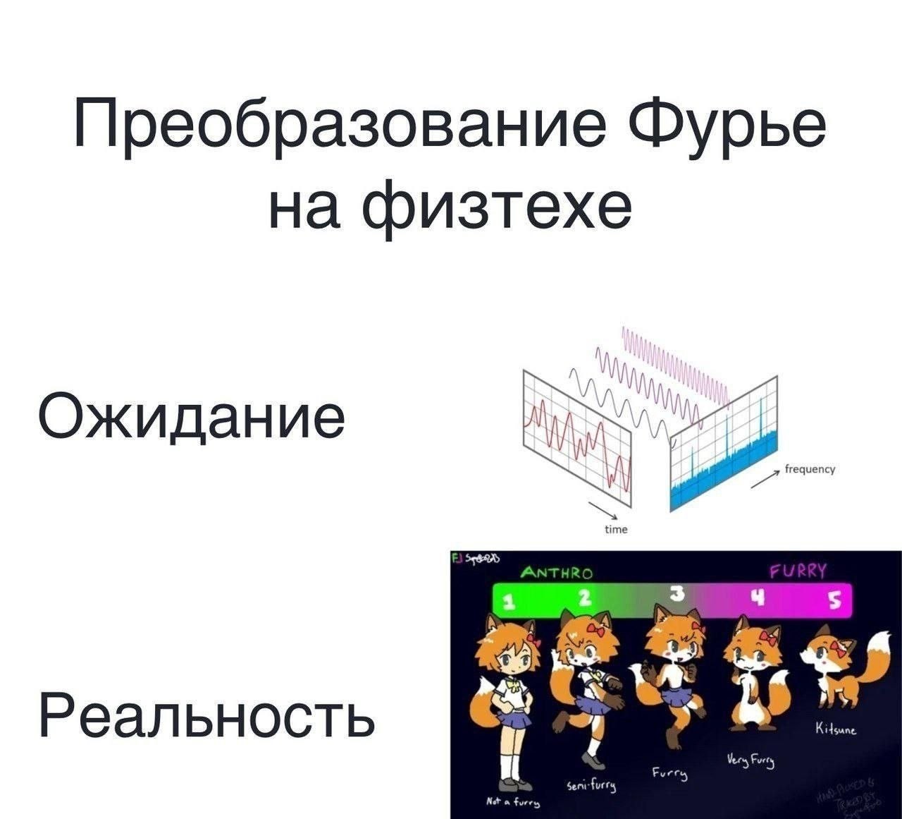 Преобразование Фурье на физтехе Ожидание equency Реальность Furey