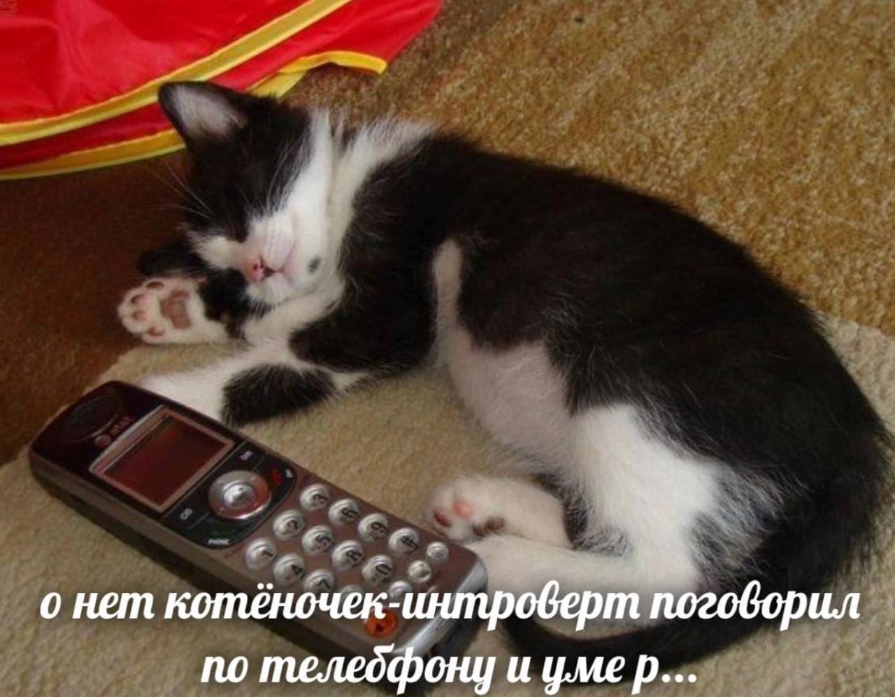 4 о нет поговорил по телебфону и уме