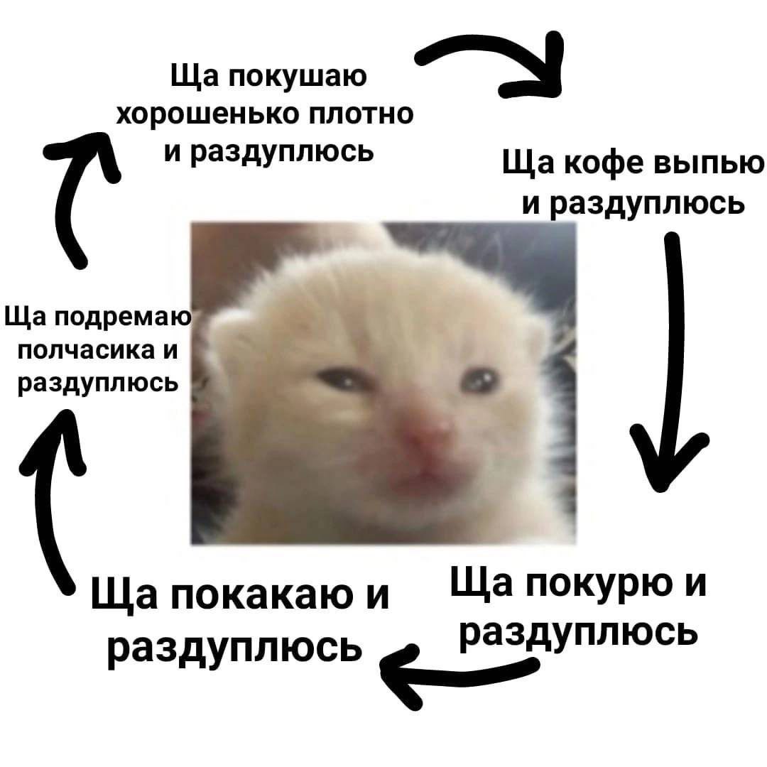 покушаю хорошенько плотно и раздуплюсь кофе выпью и раздуплюсь подремаю полчасика и раздуплюсь покурю и покакаю и раздуплюсь аздуплюсь