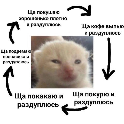 покушаю хорошенько плотно и раздуплюсь кофе выпью и раздуплюсь подремаю полчасика и раздуплюсь покурю и покакаю и раздуплюсь аздуплюсь