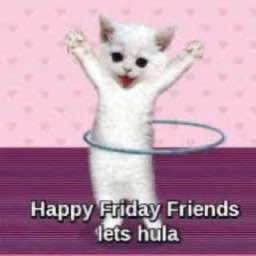 2 Happy Eniday Friends hula