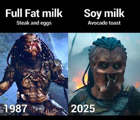 Full Fat milk Soy milk Steak and eggs Avocado toast