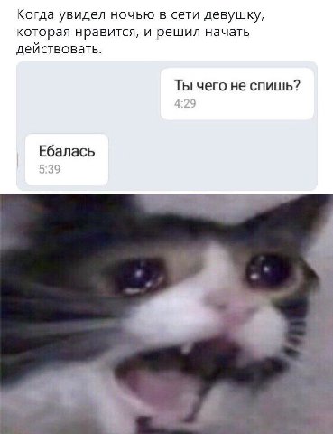Когда увидел ночью в сети девушку, которая нравится, и решил начать действовать. Ты чего не спишь? Ебалась
