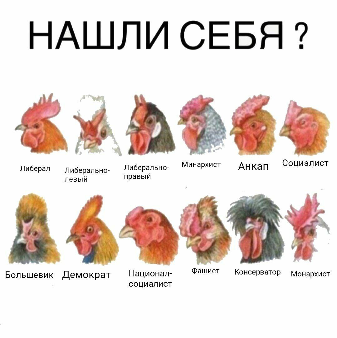 НАШЛИ СЕБЯ Либерал Либерально- Минархист Анкап Социалист Либерально- левый правый Большевик Демократ Национал- Фашист социалист