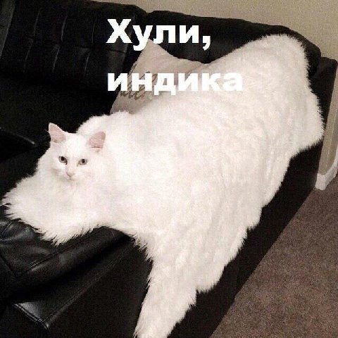 и,