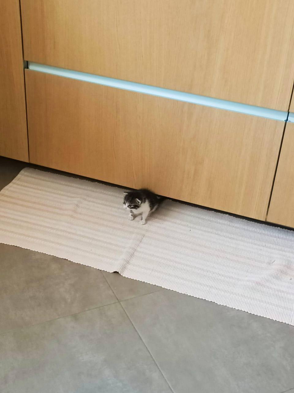 У 4