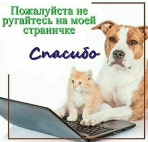 Пожалуйста не ругайтесь на моей страничке