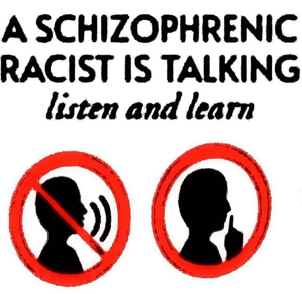 A SCHIZOPHRENIC RACIST IS TALKING listen and learn
