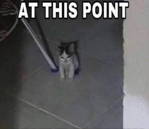 THIS POINT
