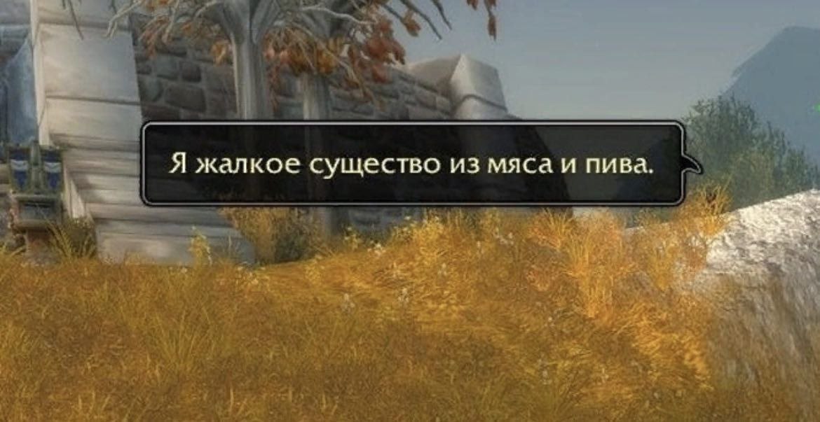 Я жалкое существо из мяса и пива.