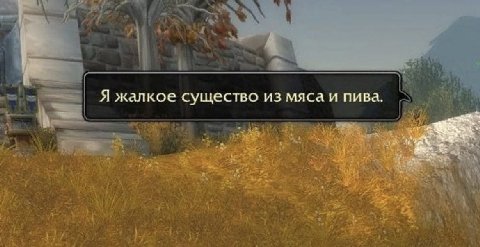 Я жалкое существо из мяса и пива.