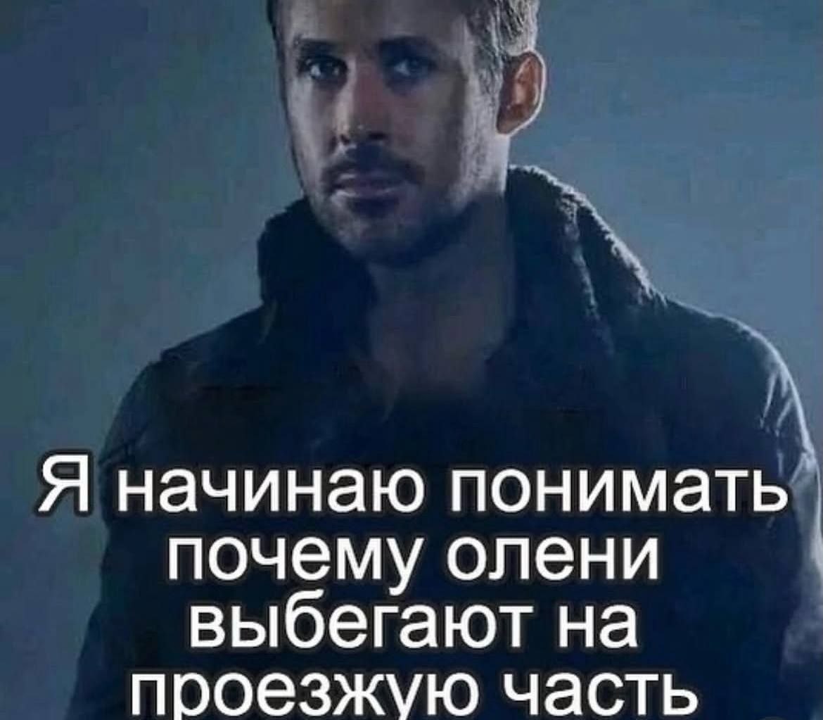 Я начинаю понимать почему олени выбегают на проезжую часть