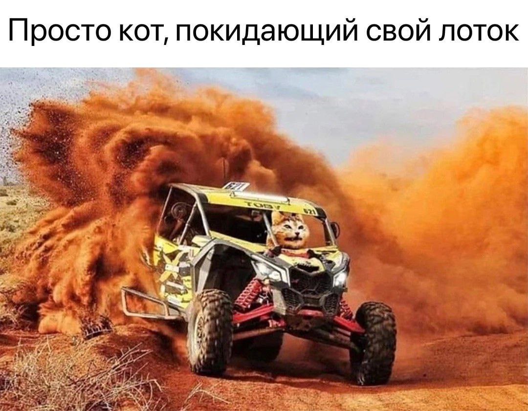 Просто KOT, покидающий свой лоток 9 a