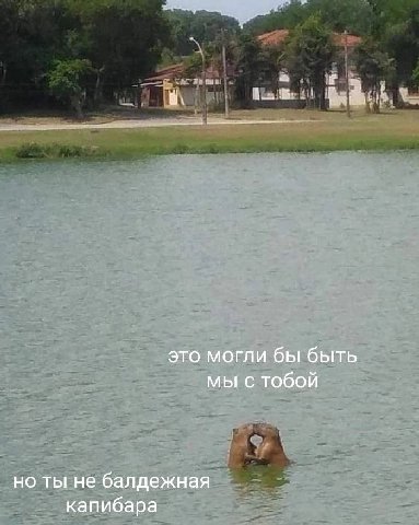 это могли бы быть мы с тобой но ты не балдежная капибара
