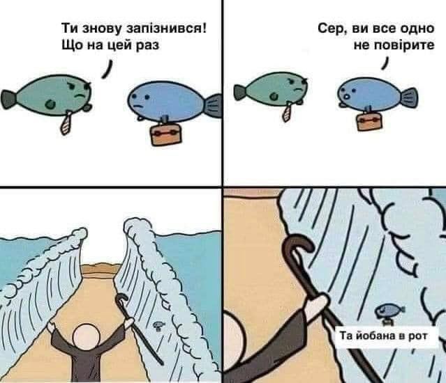 цейр Сер