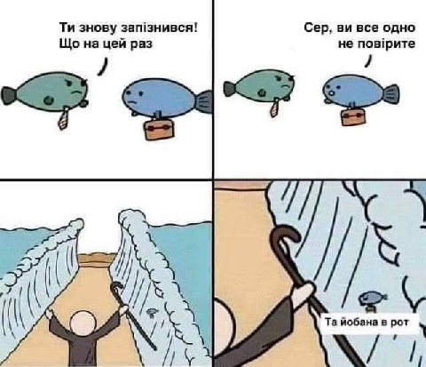 цейр Сер