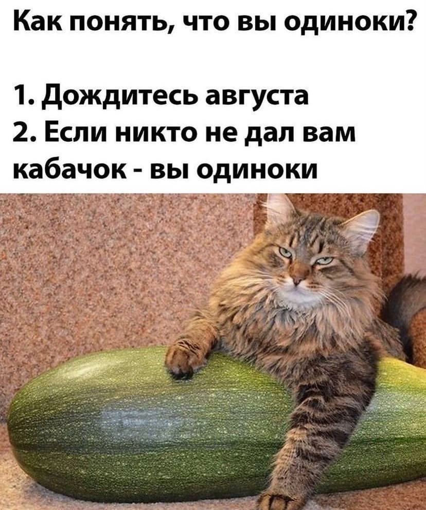 Как понять, что вы одиноки? 1. Дождитесь августа 2. Если никто не дал вам кабачок вы одиноки и wat