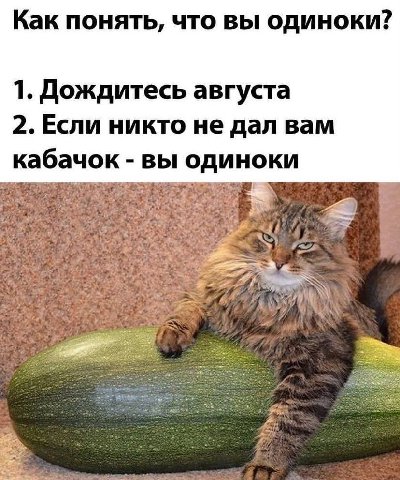 Как понять, что вы одиноки? 1. Дождитесь августа 2. Если никто не дал вам кабачок вы одиноки и wat