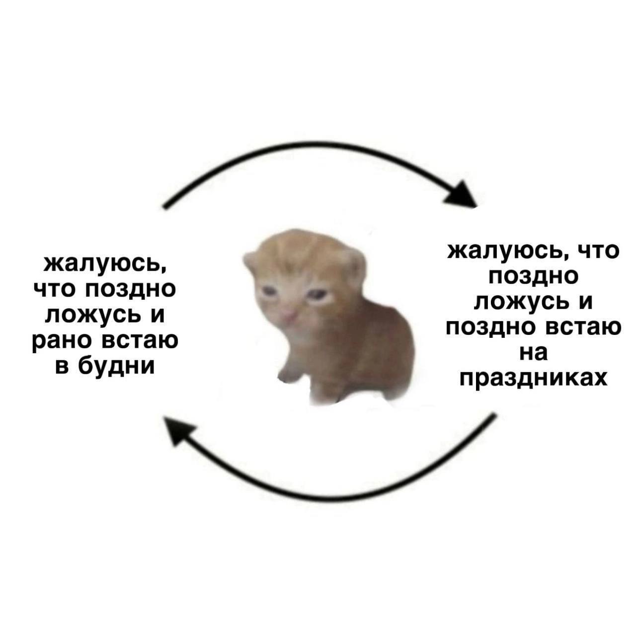 жалуюсь, что жалуюсь, поздно что поздно ложусь и ложусь и поздно встаю рано встаю на в будни праздниках