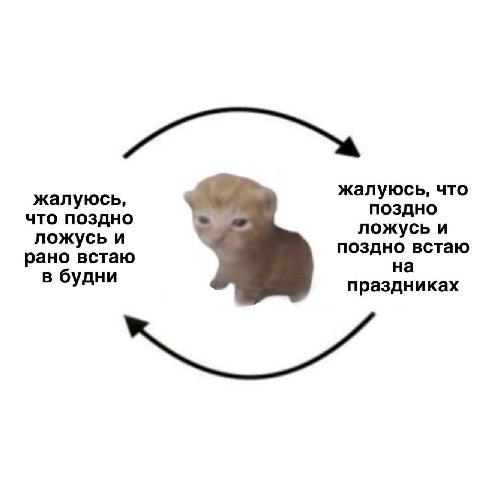 жалуюсь, что жалуюсь, поздно что поздно ложусь и ложусь и поздно встаю рано встаю на в будни праздниках
