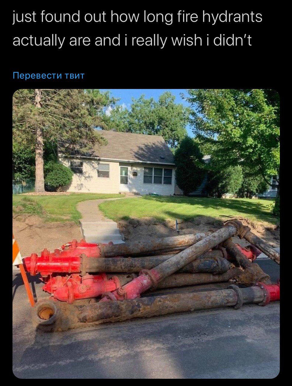 just found out how long fire hydrants actually are andi really wish i didn’t Перевести твит